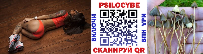 магазин    Сочи  Галлюциногенные грибы Cubensis 
